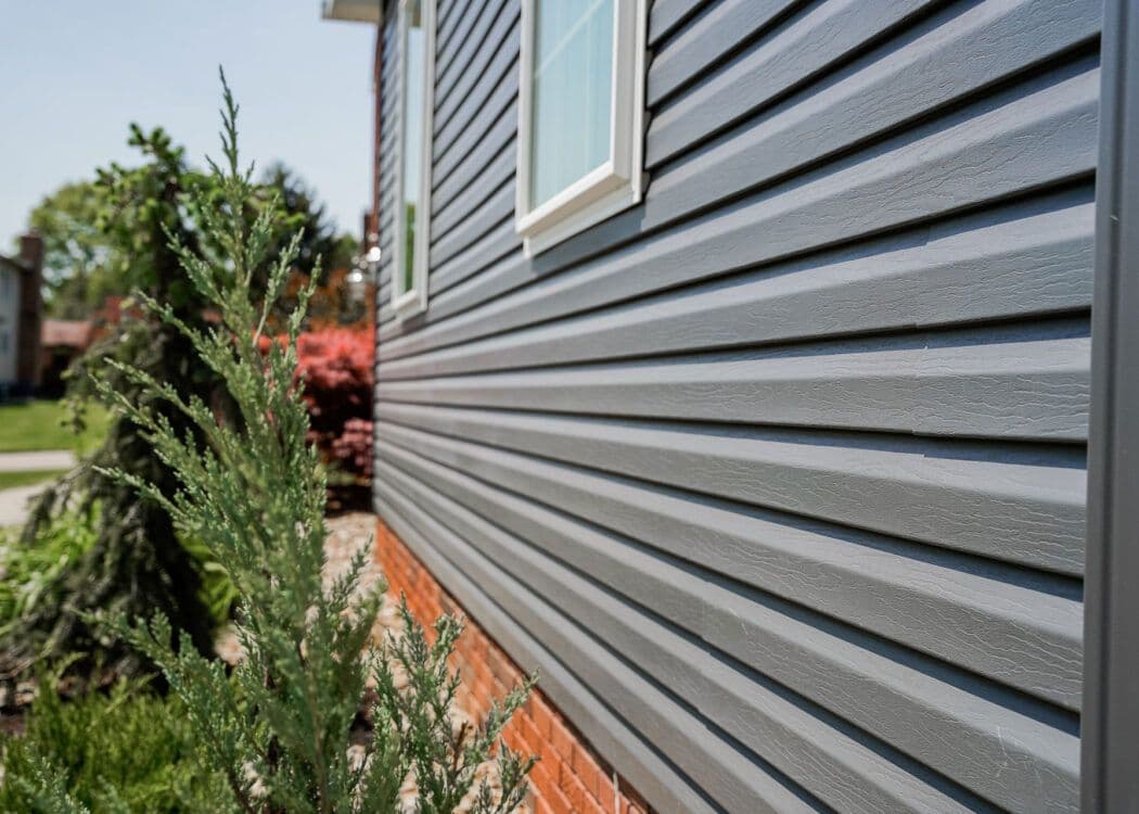 Close-up of a house's gray vinyl siding with white-trimmed windows. In the foreground, a small green shrub grows beside a red brick foundation.